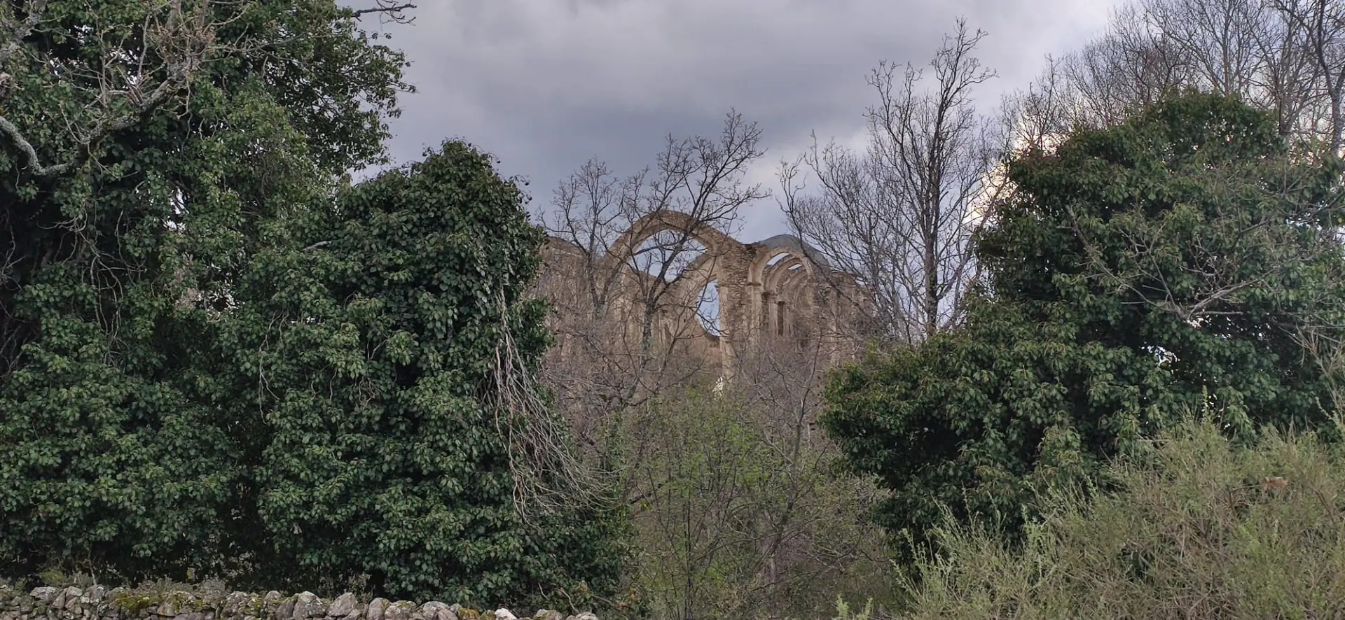Nave del templo, desde el pinar
